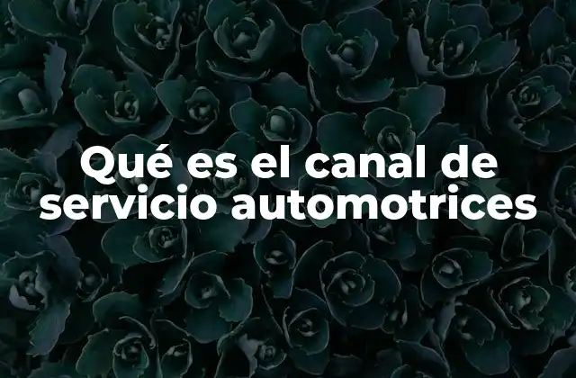Qué es el Canal de Servicio Automotrices 2 La importancia del canal de servicio en la experiencia del cliente