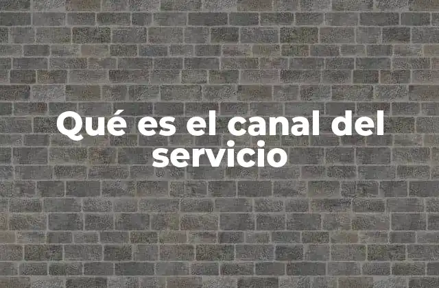 Qué es el Canal Del Servicio