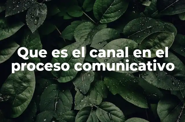 La importancia del canal en la transmisión efectiva del mensaje