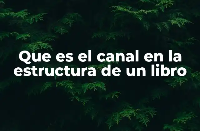 La importancia de los elementos estructurales en un libro