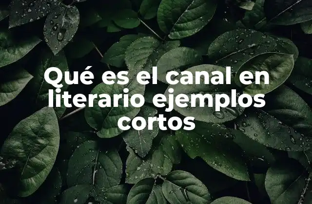 Qué es el Canal en Literario Ejemplos Cortos