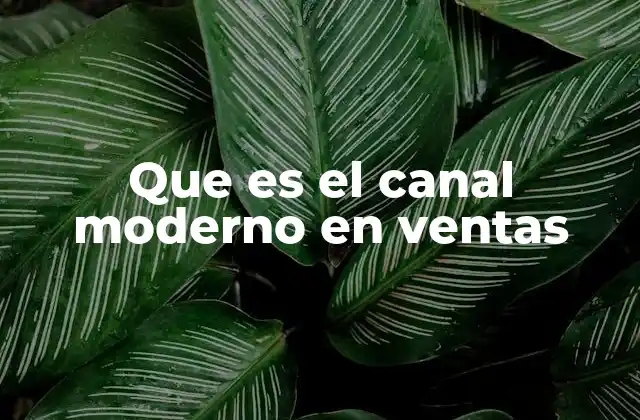 Que es el Canal Moderno en Ventas
