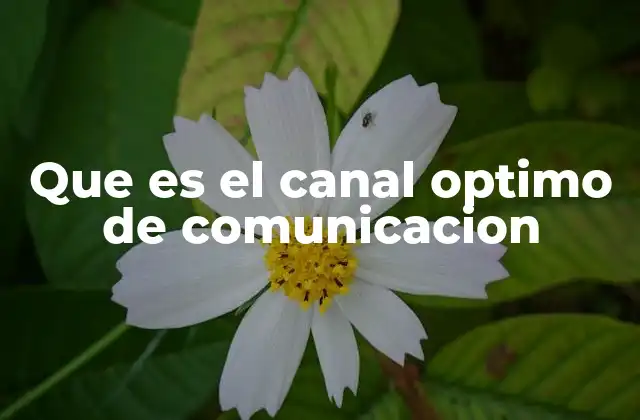 La importancia de elegir el canal adecuado para transmitir mensajes clave