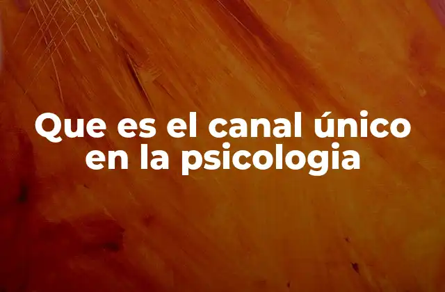 Que es el Canal Único en la Psicologia