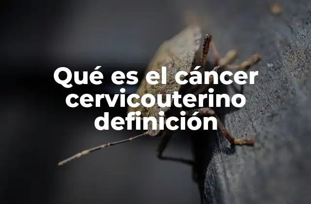 Factores de riesgo y causas del cáncer cervicouterino