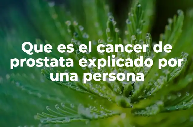 Que es el Cancer de Prostata Explicado por una Persona