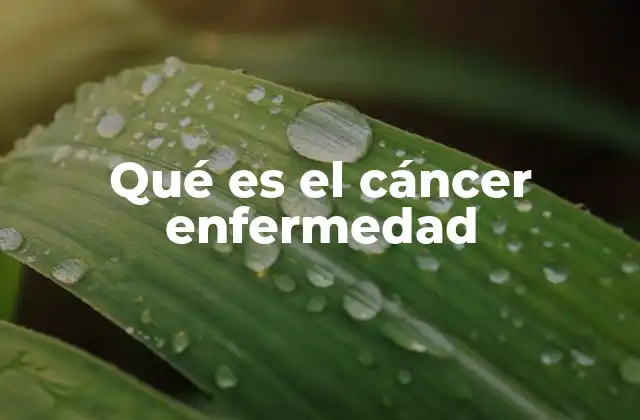 Qué es el Cáncer Enfermedad