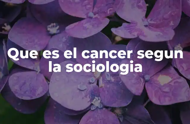Que es el Cancer Segun la Sociologia