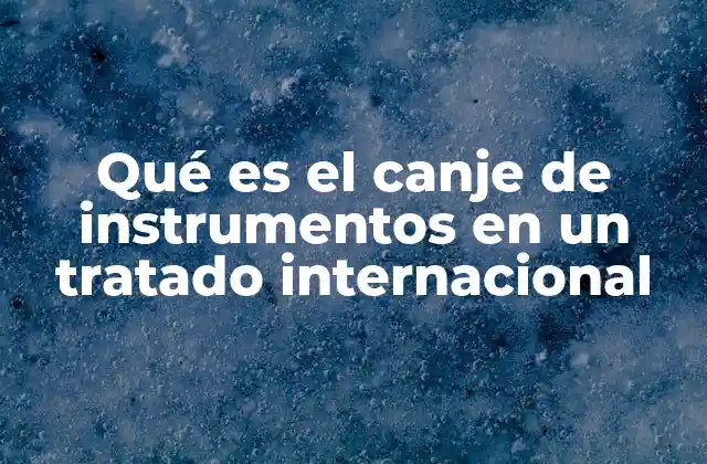 Qué es el Canje de Instrumentos en un Tratado Internacional