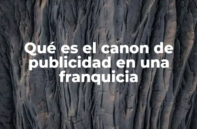 Qué es el Canon de Publicidad en una Franquicia
