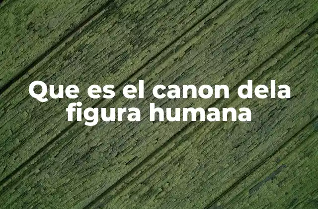 Que es el Canon Dela Figura Humana