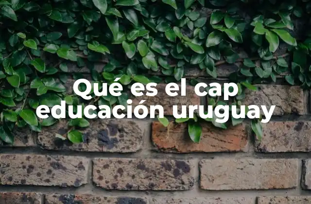 Qué es el Cap Educación Uruguay 2 El rol del CAP en el sistema educativo uruguayo