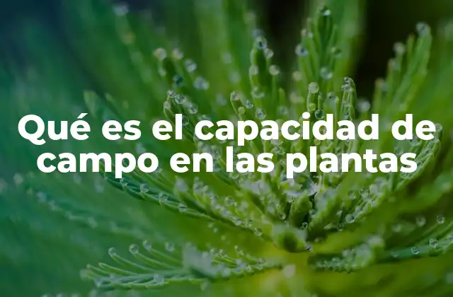 Qué es el Capacidad de Campo en las Plantas