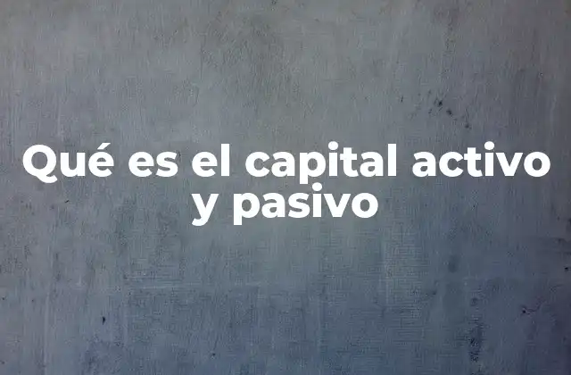 Qué es el Capital Activo y Pasivo