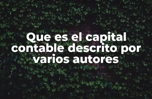 Que es el Capital Contable Descrito por Varios Autores