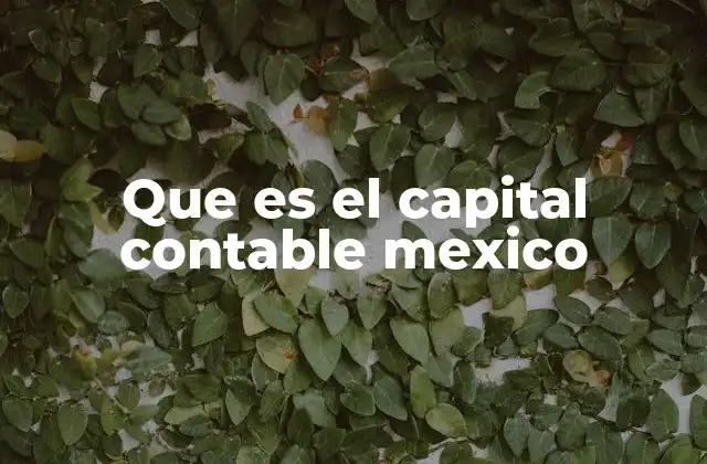 Importancia del capital contable en la economía mexicana