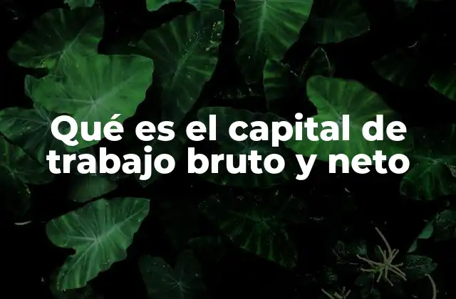 Qué es el Capital de Trabajo Bruto y Neto 2 La importancia de los activos y pasivos corrientes