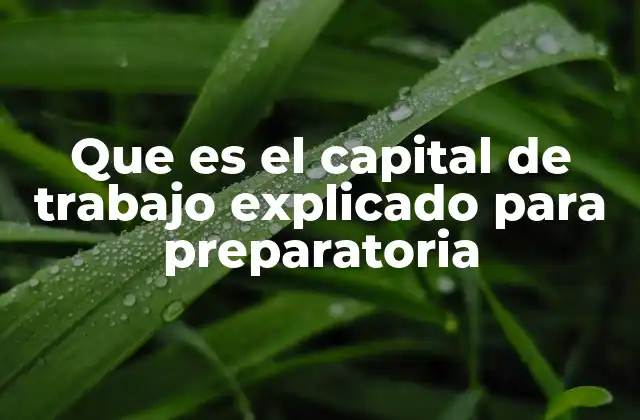Que es el Capital de Trabajo Explicado para Preparatoria