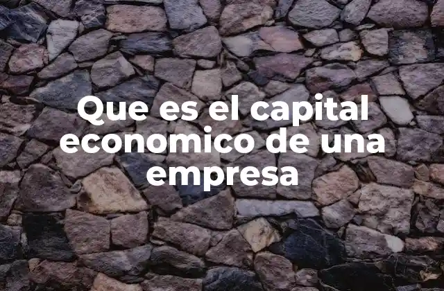 Que es el Capital Economico de una Empresa