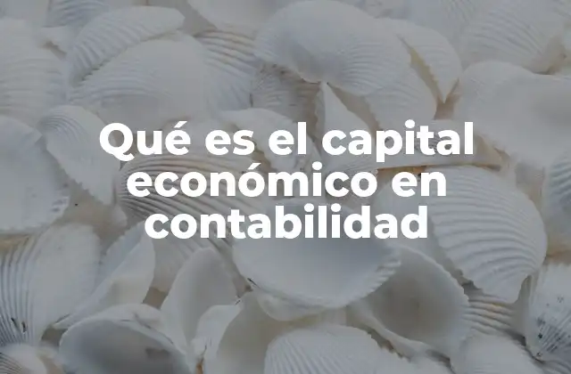 Qué es el Capital Económico en Contabilidad