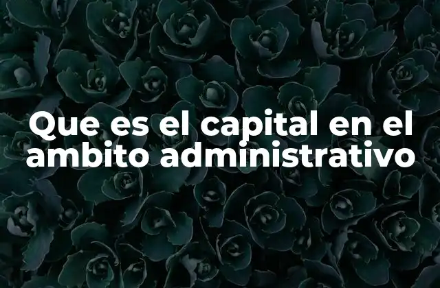 Que es el Capital en el Ambito Administrativo
