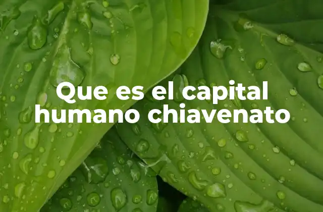 Que es el Capital Humano Chiavenato