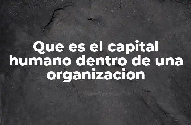 Que es el Capital Humano Dentro de una Organizacion