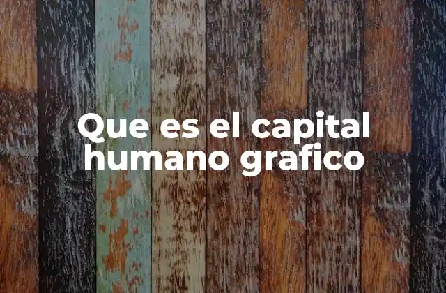 Que es el Capital Humano Grafico