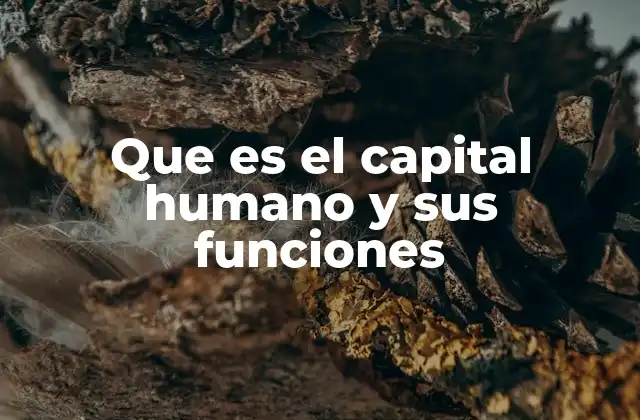 Que es el Capital Humano y Sus Funciones 2 La importancia del capital humano en la gestión empresarial