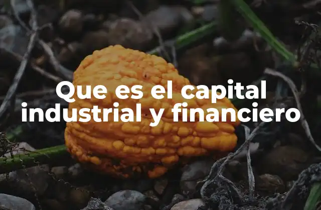 Que es el Capital Industrial y Financiero