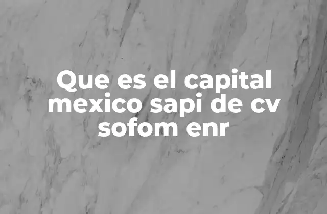 Que es el Capital Mexico Sapi de Cv Sofom Enr