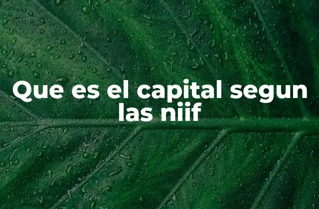 Que es el Capital Segun las Niif
