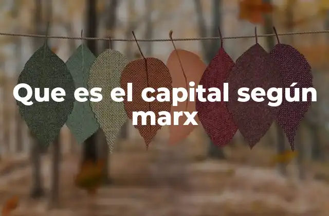 Que es el Capital según Marx