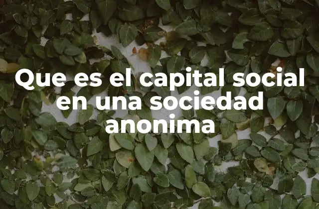Que es el Capital Social en una Sociedad Anonima