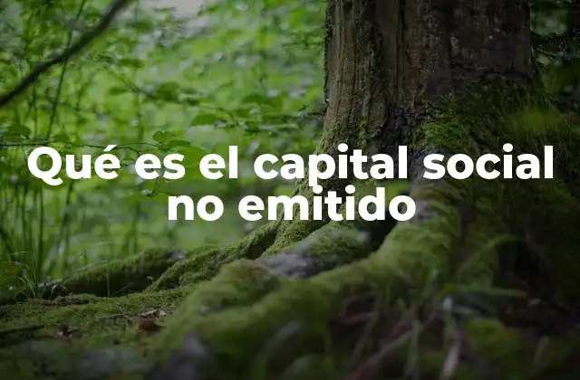 Qué es el Capital Social No Emitido
