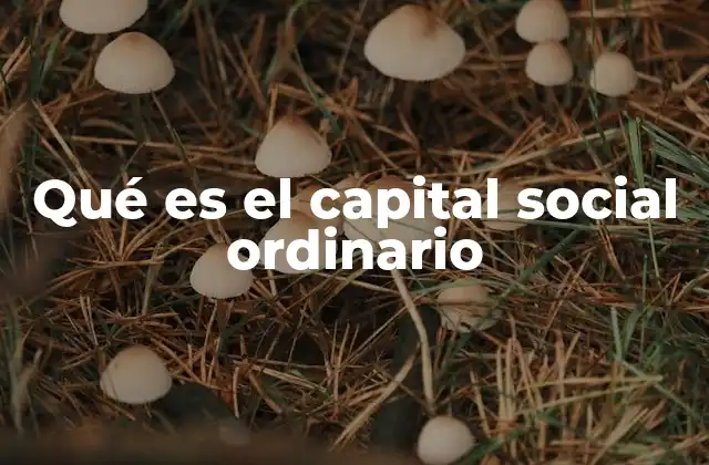 Qué es el Capital Social Ordinario