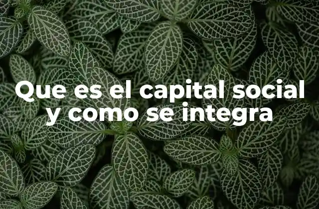 Que es el Capital Social y como Se Integra