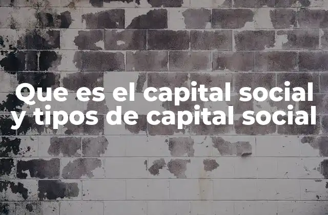 Que es el Capital Social y Tipos de Capital Social