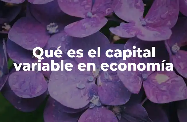 Qué es el Capital Variable en Economía