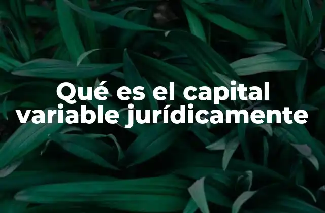 Qué es el Capital Variable Jurídicamente