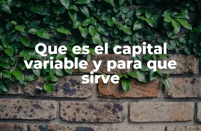 Que es el Capital Variable y para que Sirve 2 El papel del capital variable en la estructura patrimonial