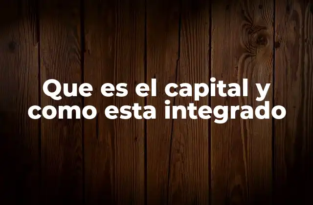 Que es el Capital y como Esta Integrado