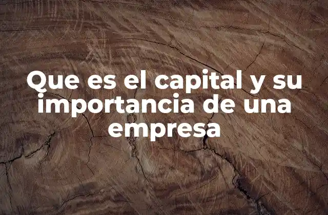 Que es el Capital y Su Importancia de una Empresa