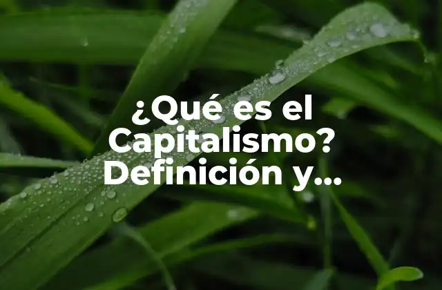 ¿qué es el Capitalismo? Definición y Características