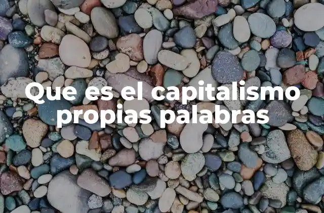 Que es el Capitalismo Propias Palabras