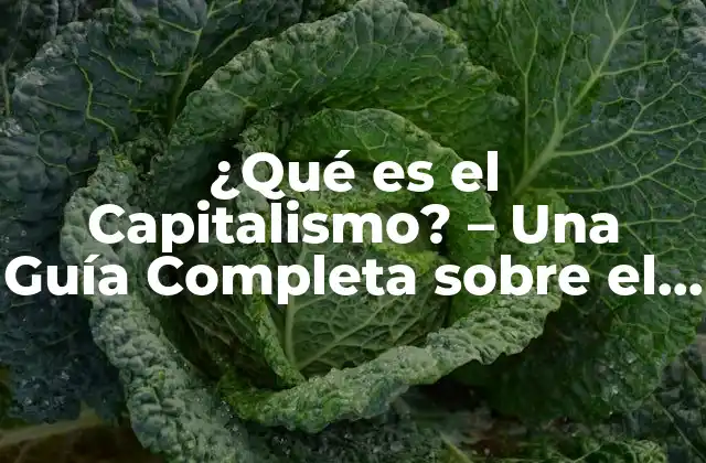¿qué es el Capitalismo? – una Guía Completa sobre el Sistema Económico Más Popular