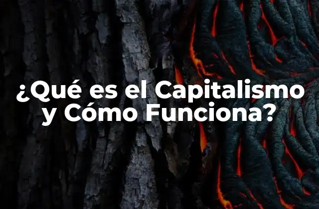 Características del Capitalismo