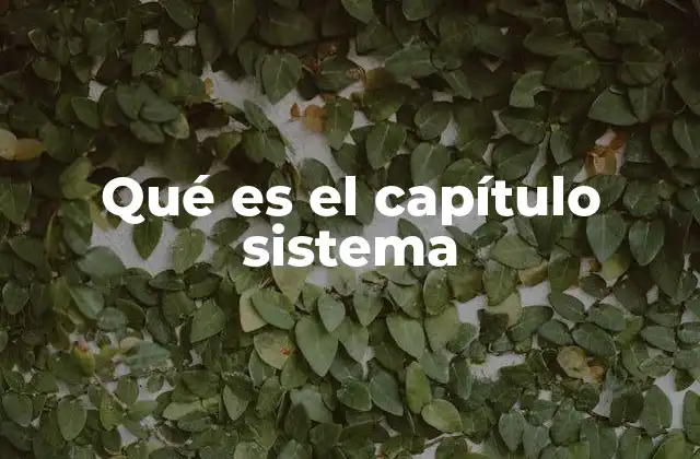 Qué es el Capítulo Sistema