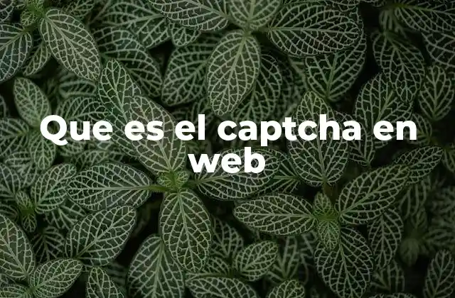 Que es el Captcha en Web
