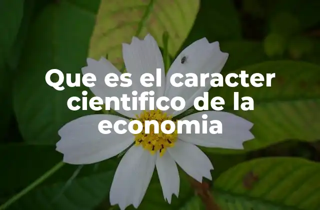 Que es el Caracter Cientifico de la Economia